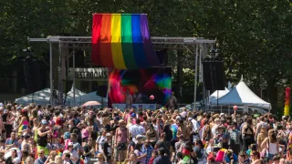 Spotlight on Wildrose: A Beacon of LGBTQ+ Community in Seattle