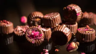 Rosas & Xocolate: A Beacon of LGBTQ+ Hospitality in Mérida’s Historic Heart