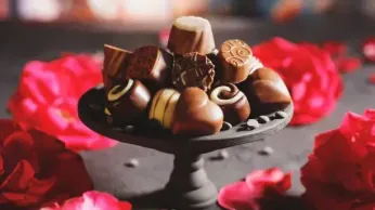 Rosas & Xocolate: A Beacon of LGBTQ+ Hospitality in Mérida’s Historic Hea