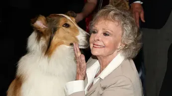 A New Wave of Lesbian Cinema: 2025’s Standout Films Lead Global Screen Diversity